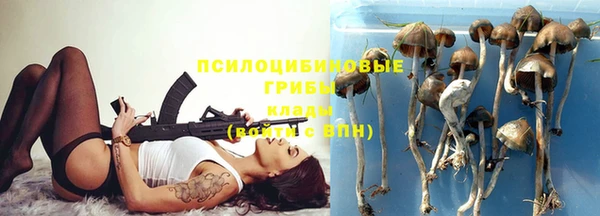 молекула духа Белокуриха
