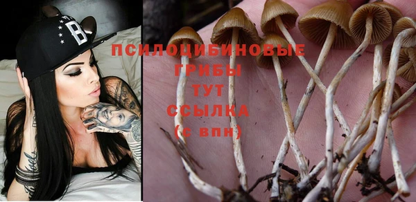 кокаин VHQ Богданович