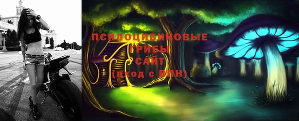 молекула духа Белокуриха
